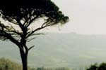 Language Courses in Umbria